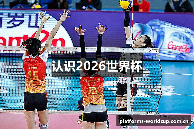认识2026世界杯